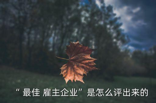 “ 最佳 雇主企業”是怎么評出來的