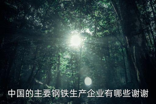 中國的主要鋼鐵生產企業有哪些謝謝