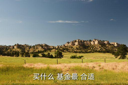 買(mǎi)什么 基金最 合適