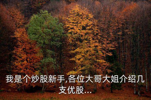 我是個炒股新手,各位大哥大姐介紹幾支優股...