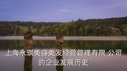 上海永琪美容美發經營管理有限 公司的企業發展歷史