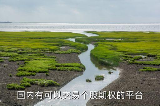 國內有可以交易個股期權的平臺