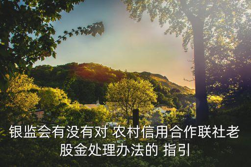 農村商業銀行組建審批工作指引
