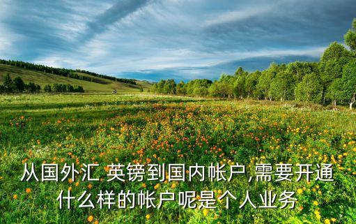 從國外匯 英鎊到國內帳戶,需要開通什么樣的帳戶呢是個人業務
