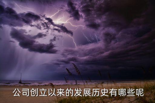  公司創立以來的發展歷史有哪些呢