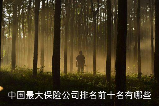 中國前十強企業,獸藥中藥中國前十強企業