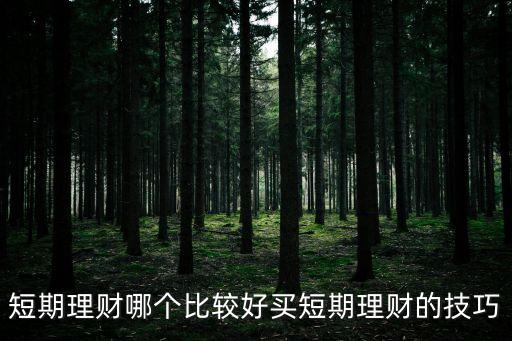 短期理財哪個比較好買短期理財的技巧