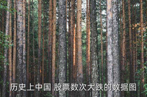 歷史上中國 股票數次大跌的數據圖