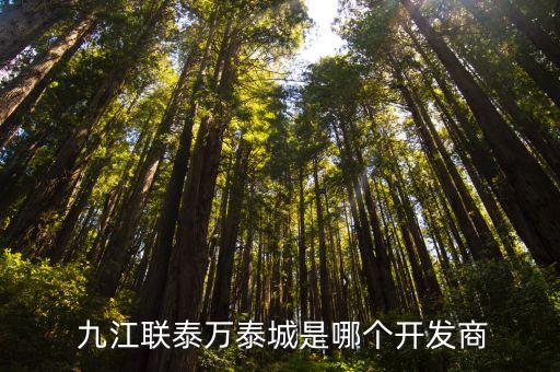 九江同方實業有限公司,九江龍昌塑膠電子實業有限公司