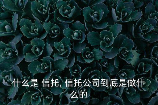 下列我國信托公司可以經營的主要業務包括
