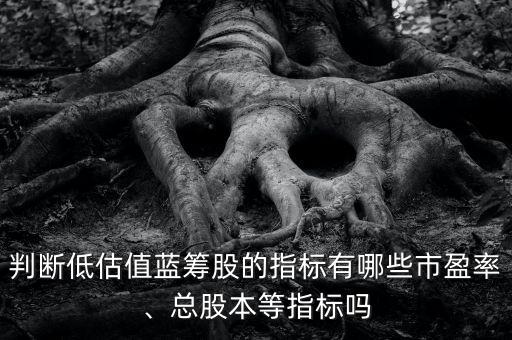 判斷低估值藍籌股的指標有哪些市盈率、總股本等指標嗎