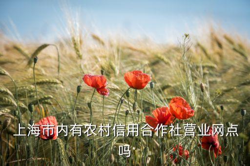 澳新銀行上海農商銀行,上海農商銀行地址查詢附近