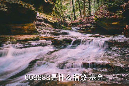 008888是什么指數 基金