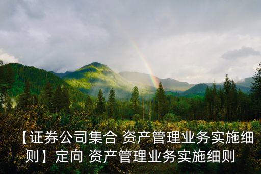 【證券公司集合 資產管理業務實施細則】定向 資產管理業務實施細則