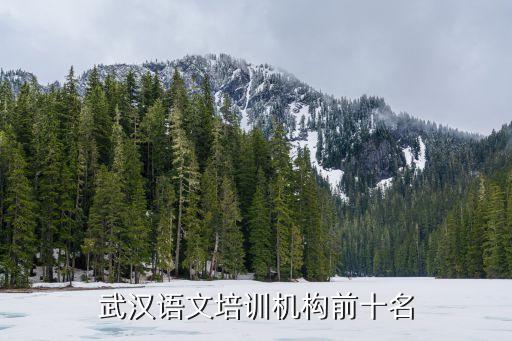 武漢語文培訓機構前十名