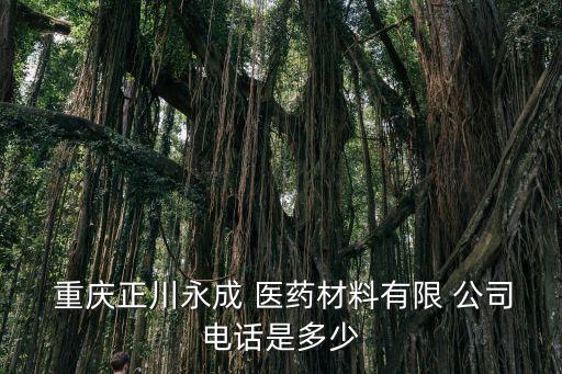重慶關關之醫藥公司在哪