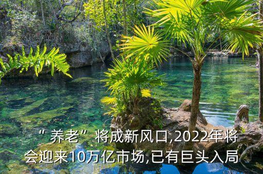 “ 養老”將成新風口,2022年將會迎來10萬億市場,已有巨頭入局