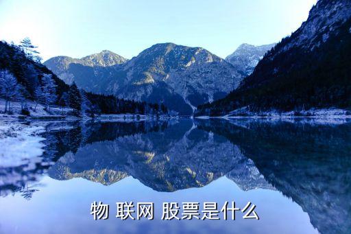 物 聯網 股票是什么