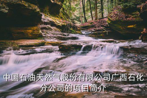 中國煉化企業布局,中國企業也在積極布局