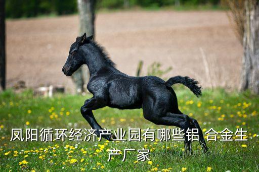 鳳陽循環經濟產業園有哪些鋁 合金生產廠家