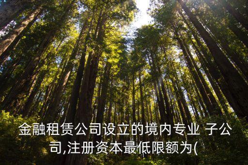  金融租賃公司設立的境內專業 子公司,注冊資本最低限額為(