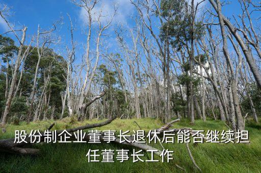  股份制企業董事長退休后能否繼續擔任董事長工作
