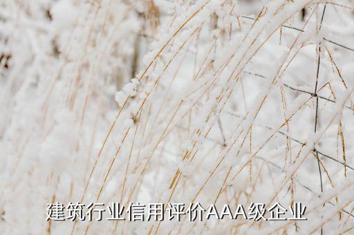 建筑行業信用評價AAA級企業
