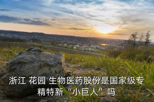 浙江 花園 生物醫藥股份是國家級專精特新“小巨人”嗎
