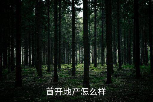北京首都開發控股營銷總經理