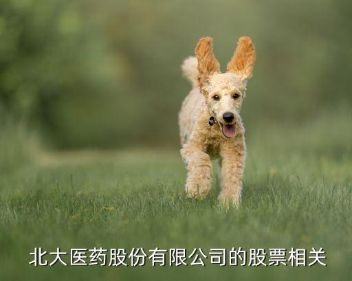 北大醫療集團收購醫院