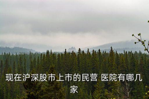現在滬深股市上市的民營 醫院有哪幾家