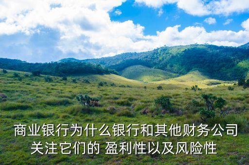  商業銀行為什么銀行和其他財務公司關注它們的 盈利性以及風險性