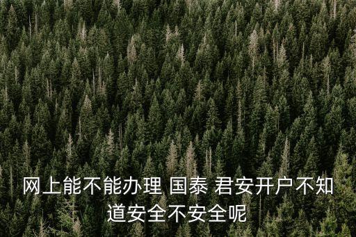 網上能不能辦理 國泰 君安開戶不知道安全不安全呢