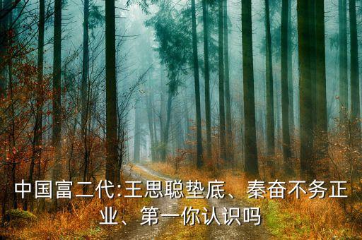 中國富二代:王思聰墊底、秦奮不務正業、第一你認識嗎