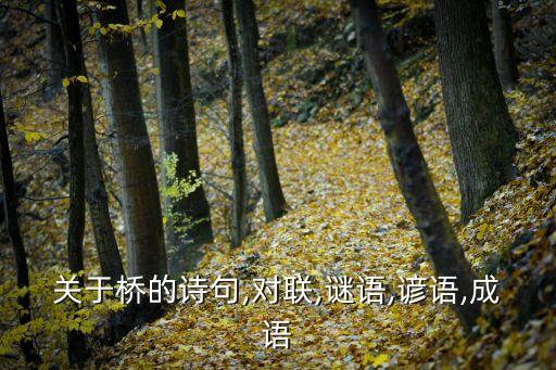 關于橋的詩句,對聯,謎語,諺語,成語