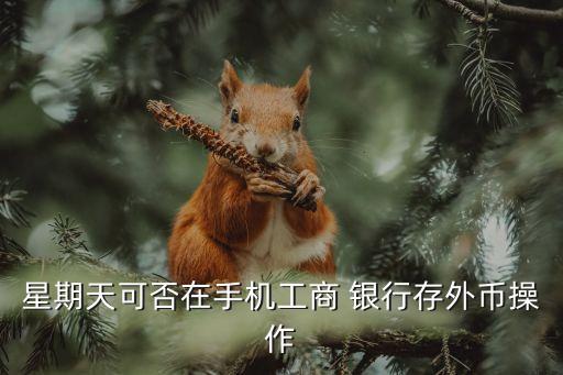 工行網上銀行結售匯時間,以下哪種不是網上銀行結售匯的交易方式