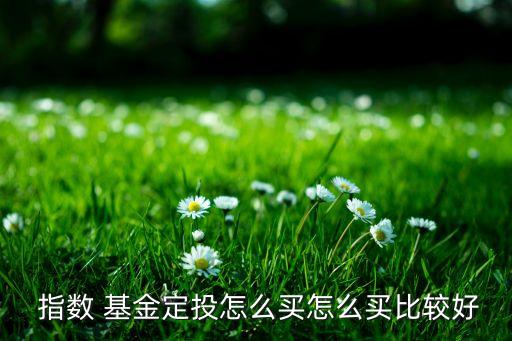  指數 基金定投怎么買怎么買比較好