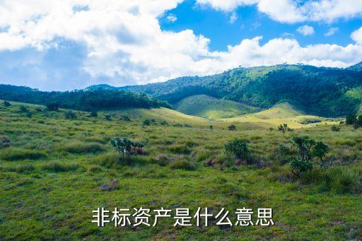  非標資產是什么意思