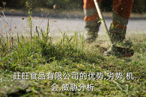  旺旺食品有限公司的優勢,劣勢,機會,威脅分析