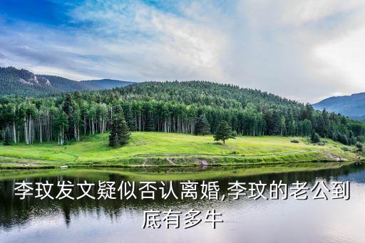 李玟發文疑似否認離婚,李玟的老公到底有多牛