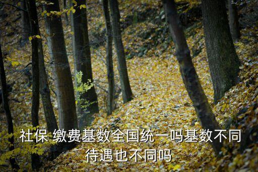  社保 繳費基數全國統一嗎基數不同待遇也不同嗎