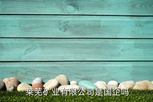  萊蕪礦業有限公司是國企嗎