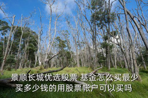  景順長(zhǎng)城優(yōu)選股票 基金怎么買(mǎi)最少買(mǎi)多少錢(qián)的用股票帳戶(hù)可以買(mǎi)嗎