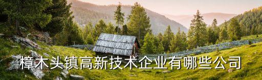 樟木頭鎮高新技術企業有哪些公司
