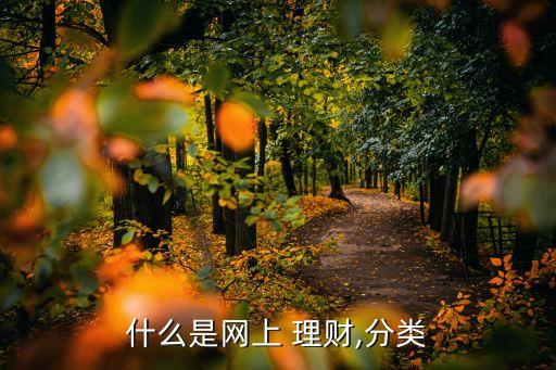 互聯網投資理財管理,p2p互聯網投資理財平臺
