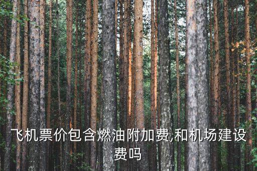 民航基金50元一定要交的嗎,民航發展基金一定要交嗎