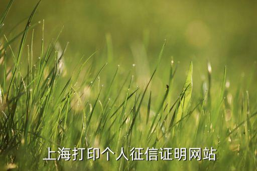  上海打印個人征信證明網站