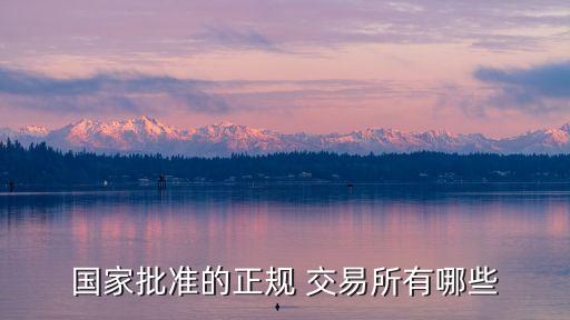 國家批準的正規 交易所有哪些