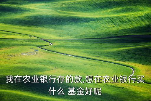 景順內(nèi)需基金,景順長(zhǎng)城內(nèi)需2號(hào)基金凈值查詢(xún)