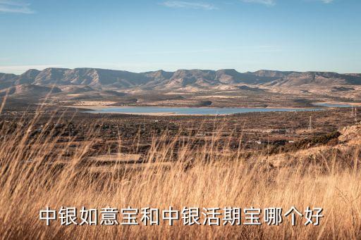 嘉實周期優選股票贖回還款日
